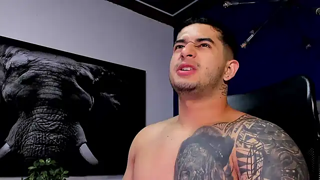 king falconer online show from 18, 12, 2025