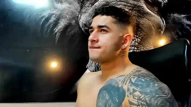 king falconer online show from 22, 11, 2025