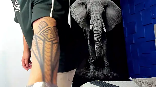 king falconer online show from 3, 11, 2025