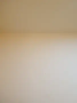 Oriana111 online show from 15, 2, 2026