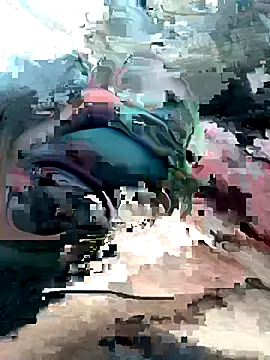 Snapshot of geraldoo007 chatting on 28, 10, 2025 geraldoo007 online show from 28, 10, 2025