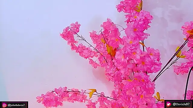Snapshot of JulietaDavis chatting on 27, 5, 2026 JulietaDavis online show from 27, 5, 2026