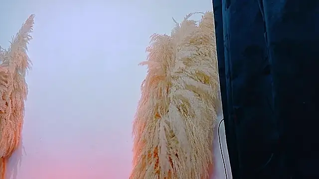 JulietaDavis online show from 22, 2, 2026