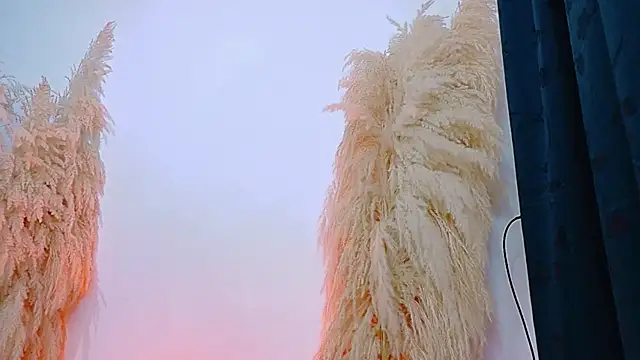 JulietaDavis online show from 20, 2, 2026