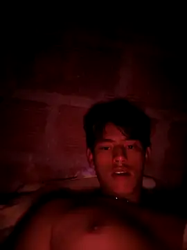 Hiroshi Shen online show from 4, 4, 2026