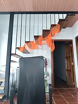 Hiroshi Shen online show from 2, 11, 2025