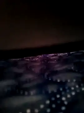 Hiroshi Shen online show from 15, 1, 2026