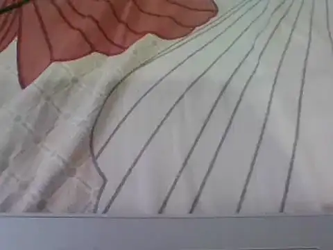 young dickkk online show from 23, 9, 2025