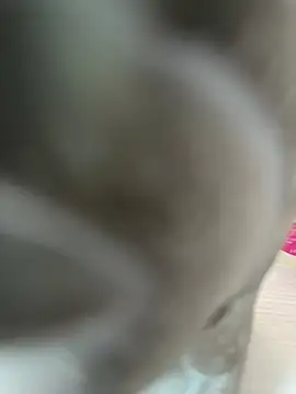 Helen Vidall online show from 6, 10, 2025