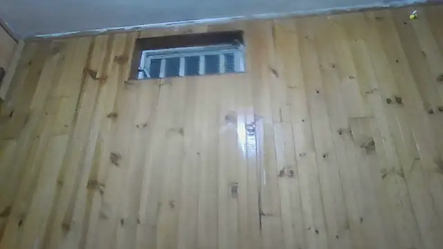 Roselingalvis13 online show from 21, 9, 2025