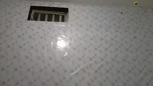 Roselingalvis13 online show from 3, 3, 2026