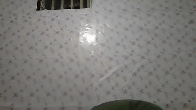 Roselingalvis13 online show from 4, 3, 2026