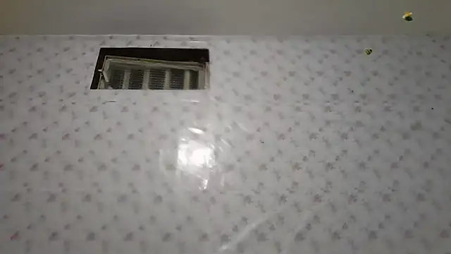 Roselingalvis13 online show from 5, 2, 2026