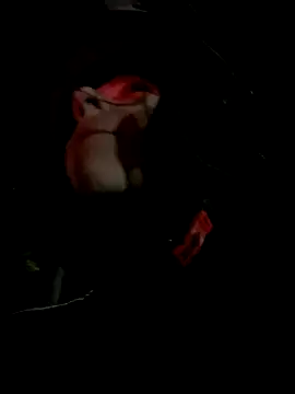 juliie star online show from 15, 11, 2025