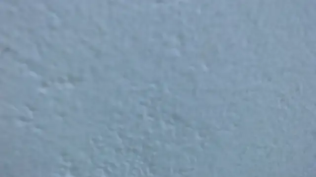 carolina zabala 19 online show from 23, 3, 2026