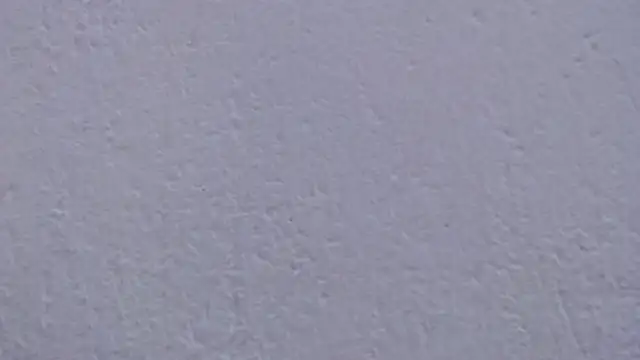 carolina zabala 19 online show from 4, 4, 2026