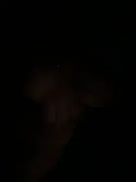 Nicole matt online show from 24, 4, 2026