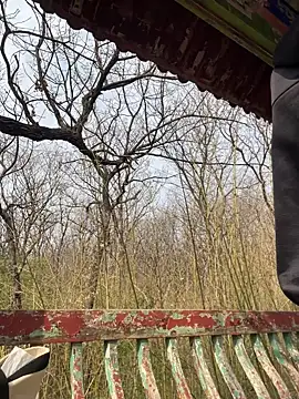 xinmeng-000 online show from 13, 3, 2026