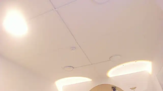 TokyoHaskel online show from 8, 10, 2025