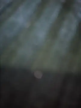 VesperVelvet online show from 28, 3, 2026