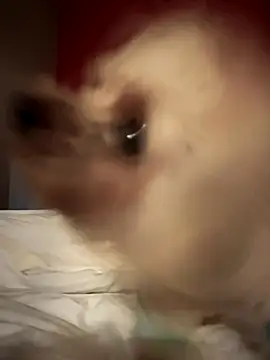 Ofcourseoneday online show from 16, 10, 2025