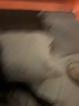 Ofcourseoneday online show from 8, 3, 2026