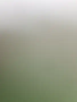 guridosul051 online show from 20, 4, 2026