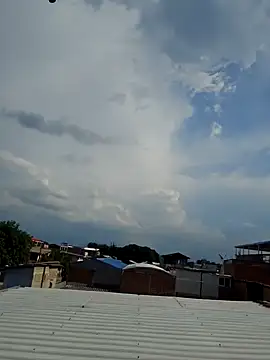 Natasanz online show from 11, 2, 2026