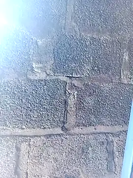 jienrrr online show from 10, 4, 2026