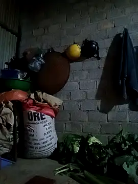 Snapshot of jienrrr chatting on 24, 2, 2026 jienrrr online show from 24, 2, 2026