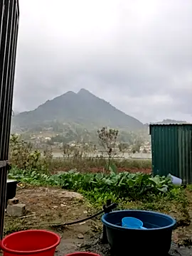 yoowwmr online show from 20, 12, 2025