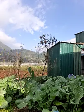 yoowwmr online show from 22, 12, 2025