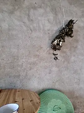 yoowwmr online show from 23, 11, 2025