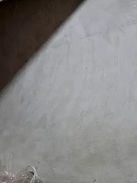 yoowwmr online show from 25, 10, 2025