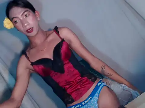 xyourdreamtrans online show from 14, 1, 2026