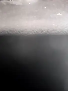 legaros online show from 10, 2, 2026