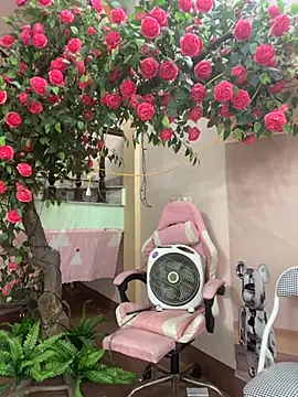 Bollozzy 89 online show from 6, 10, 2025