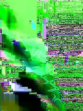 Bollozzy 89 online show from 21, 11, 2025