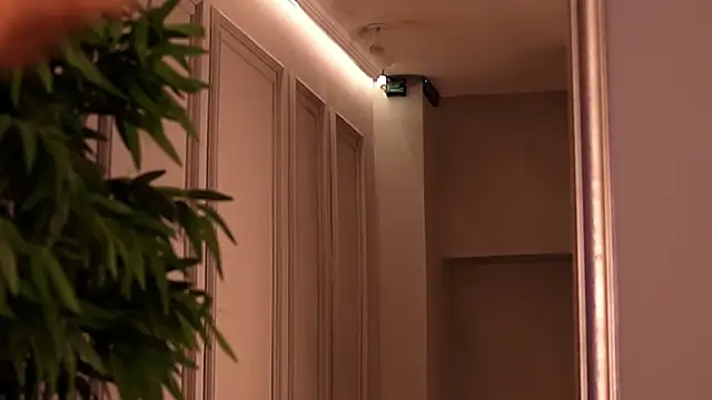 KendalJolly online show from 21, 9, 2025