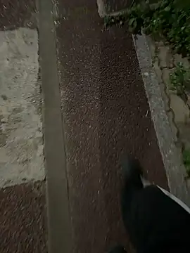 Snapshot of gochu1004 chatting on 20, 9, 2025 gochu1004 online show from 20, 9, 2025