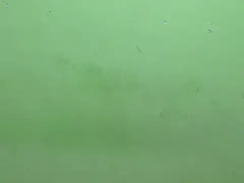 rockyy23boy online show from 15, 10, 2025