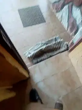 Fullfigurepotential online show from 3, 12, 2025