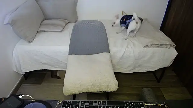 Snapshot of bossking017 chatting on 20, 2, 2026 bossking017 online show from 20, 2, 2026