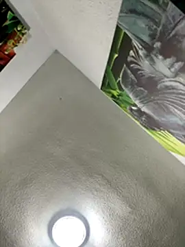 aavrdvh33 online show from 27, 11, 2025