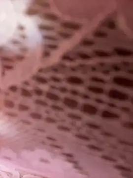 Luna 20x online show from 31, 3, 2026