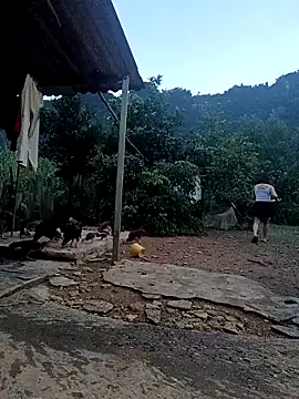 SexyQueen99 online show from 6, 10, 2025