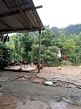 SexyQueen99 online show from 25, 9, 2025