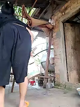 BigBoobs186 online show from 11, 1, 2026