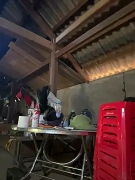 Snapshot of ThiHa003 chatting on 18, 1, 2026 ThiHa003 online show from 18, 1, 2026