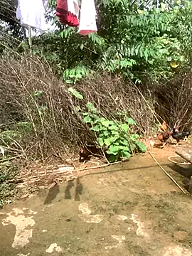 ThiHa003 online show from 10, 11, 2025